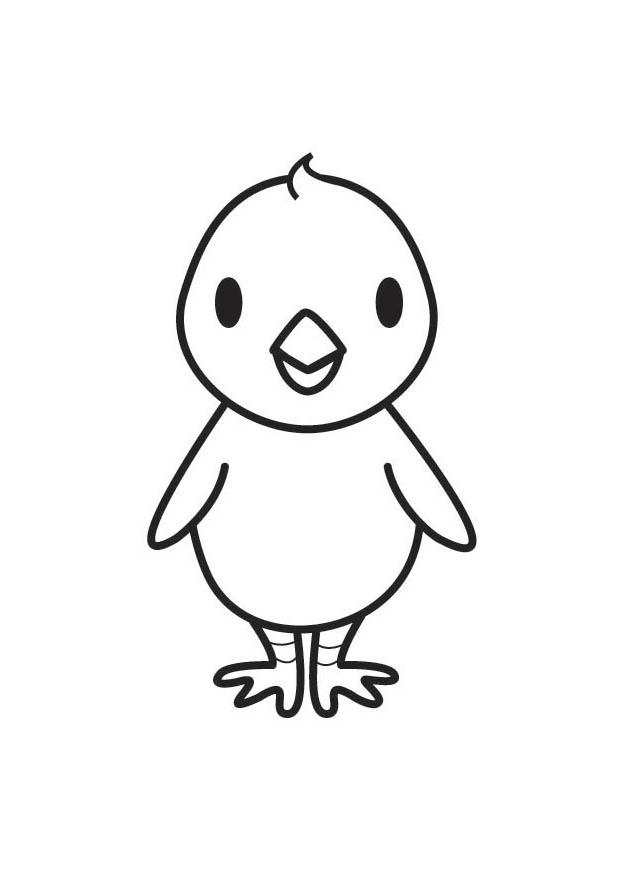 Free Chick Coloring Pages