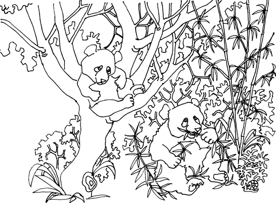 Panda Coloring Pages Best Coloring Pages For Kids