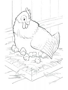 Chicken Coloring Pages - Best Coloring Pages For Kids