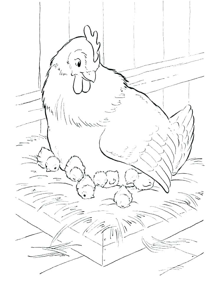 Chicken Girls Coloring Pages Coloring Pages