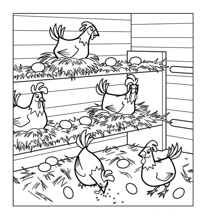 Chicken Coloring Pages - Best Coloring Pages For Kids