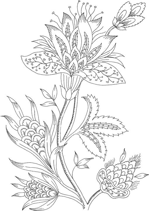 Mindfulness Coloring Pages Flowers