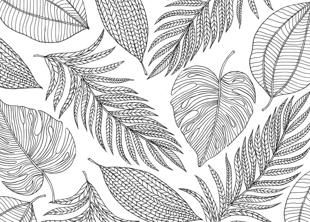 Mindfulness Coloring Pages Nature