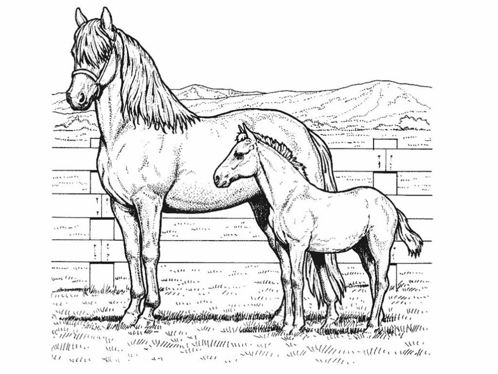 Mother and Pony Coloring Pages