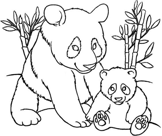 Panda And Baby Coloring Pages
