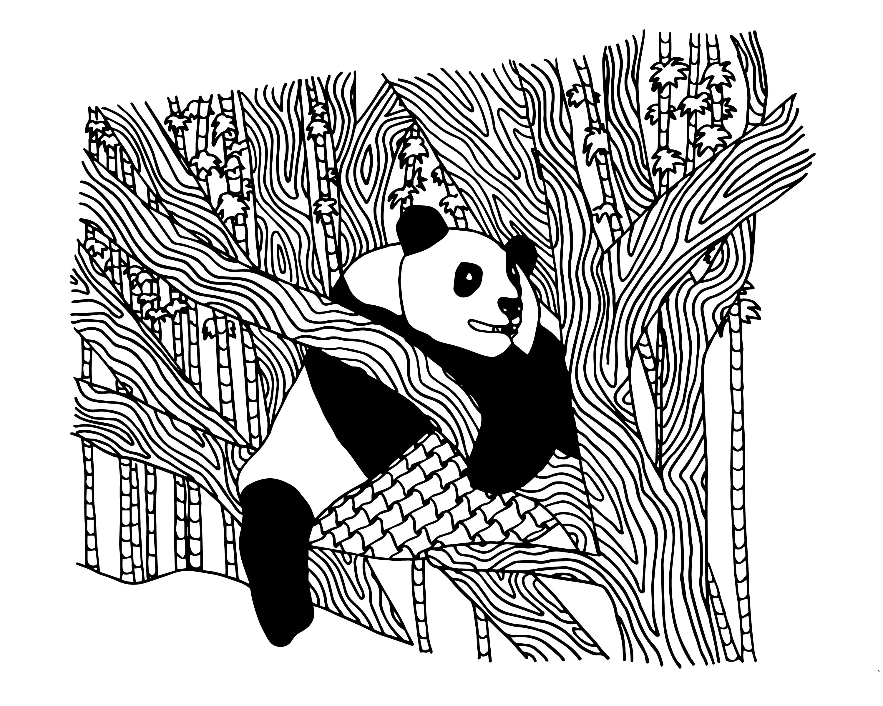 Panda Coloring Pages Best Coloring Pages For Kids