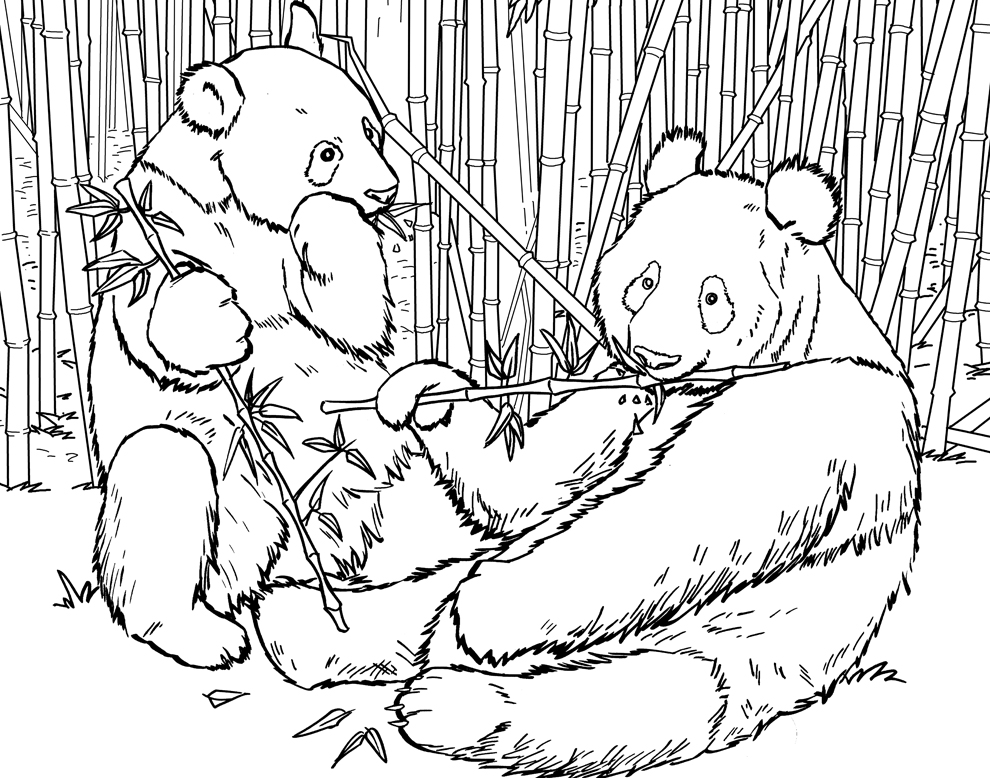 Featured image of post Panda Coloring Pages For Kids Or else do online coloring directly from your tab ipad or on our web feature for this the awesomeness of kung fu panda coloring page