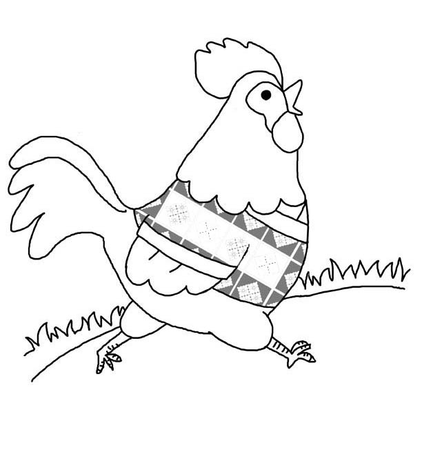 Print Chicken Coloring Page