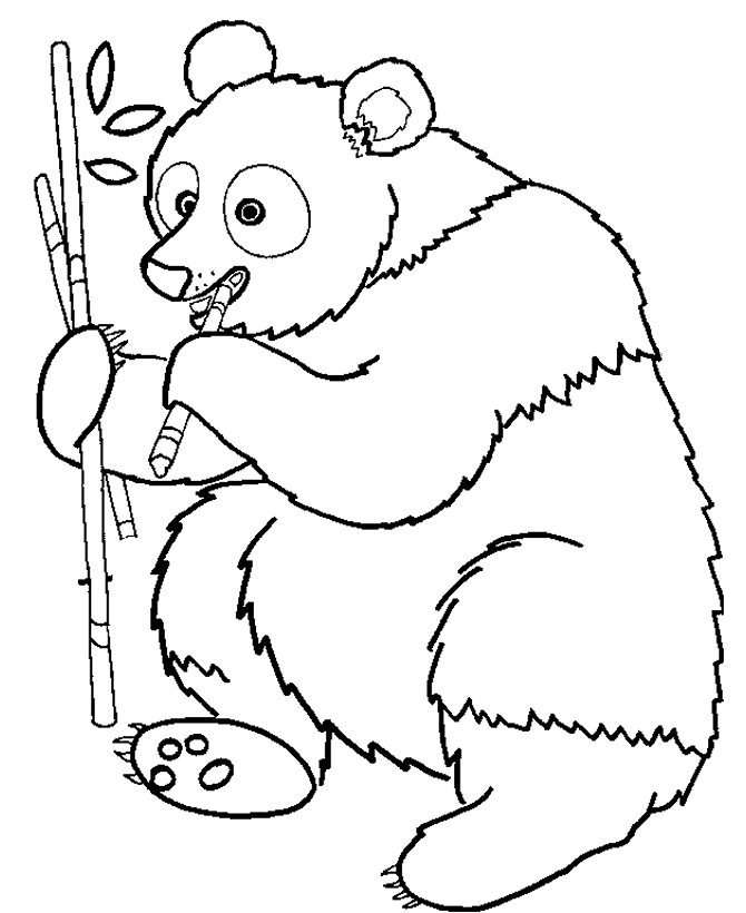 Panda Coloring Pages - Best Coloring Pages For Kids