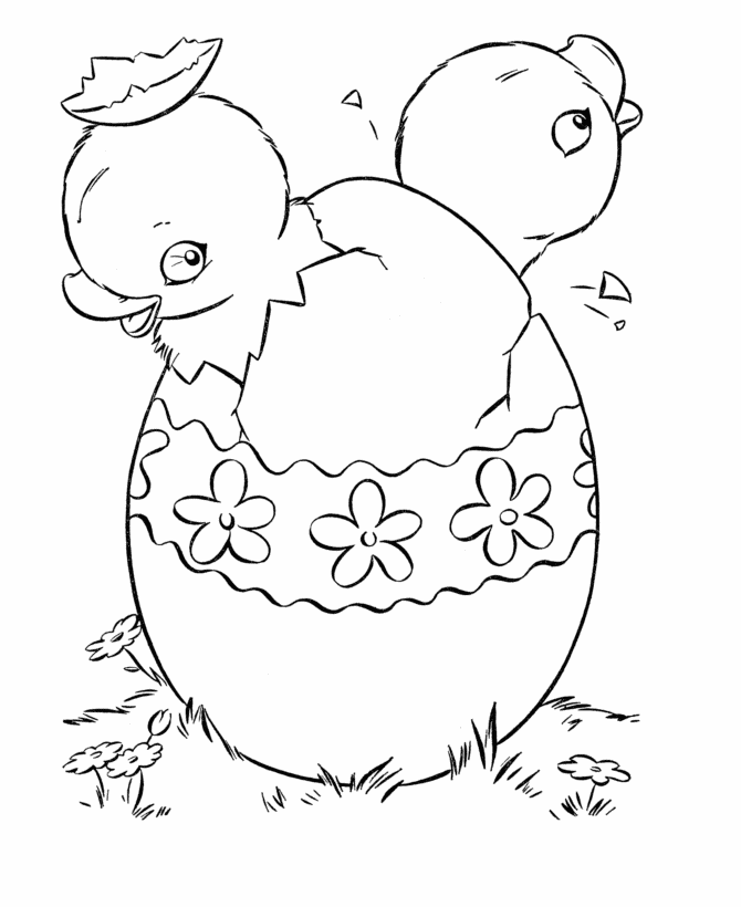 baby chick hatching coloring page