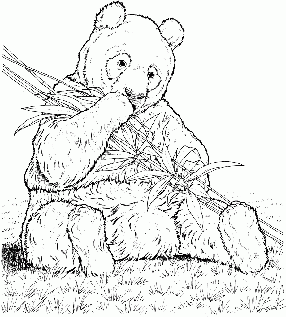 Panda Coloring Pages - Best Coloring Pages For Kids