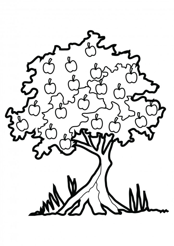 Apple Tree Johnny Appleseed Coloring