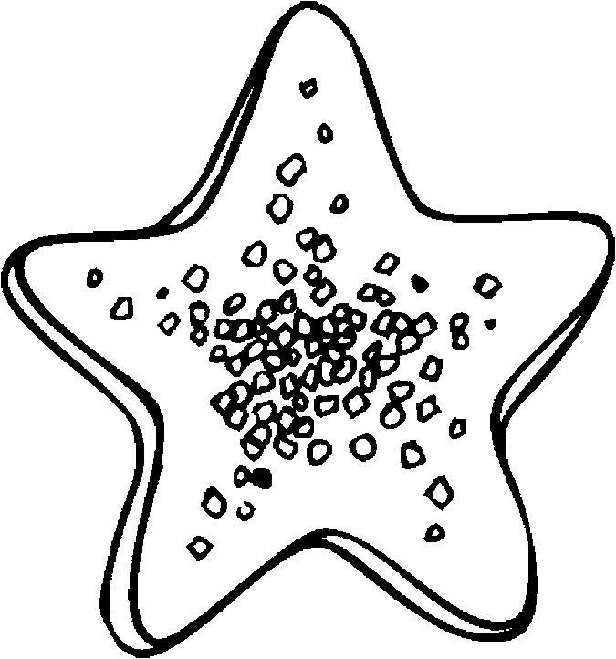 Star Shaped Cookie Coloring Page