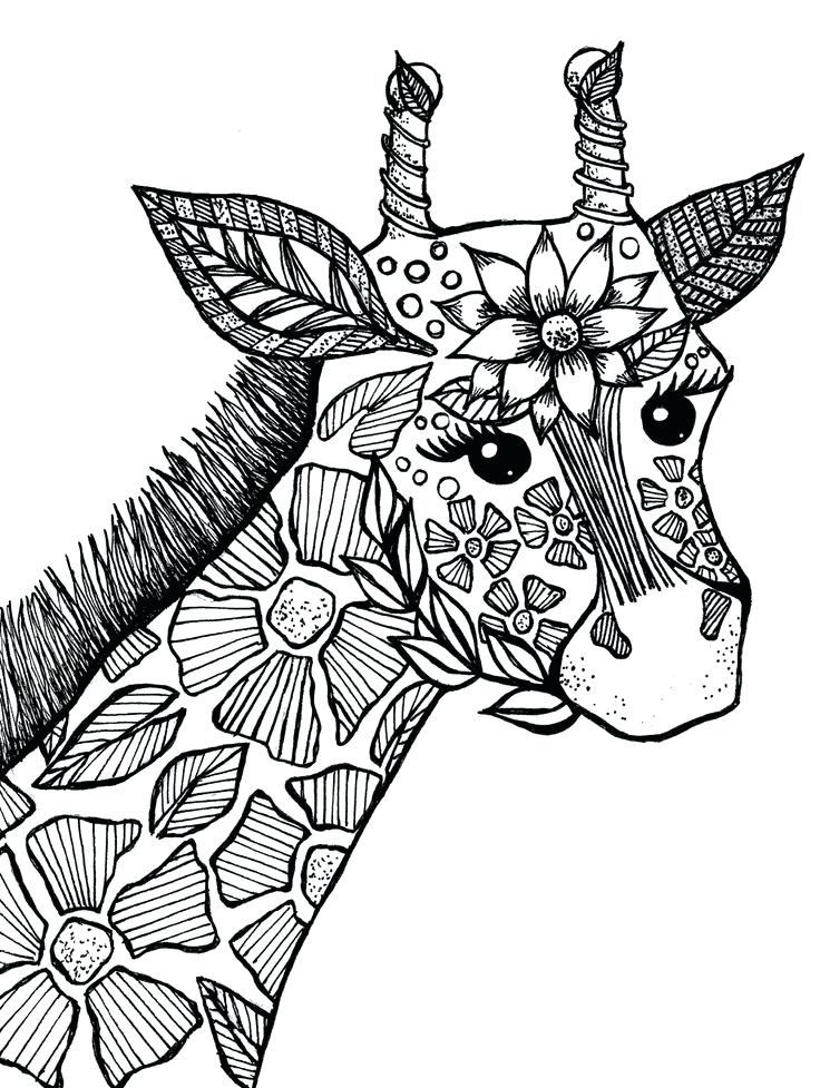 Download Animal Coloring Pages - Best Coloring Pages For Kids