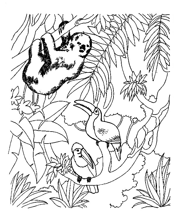 Animals In The Jungle Coloring Page