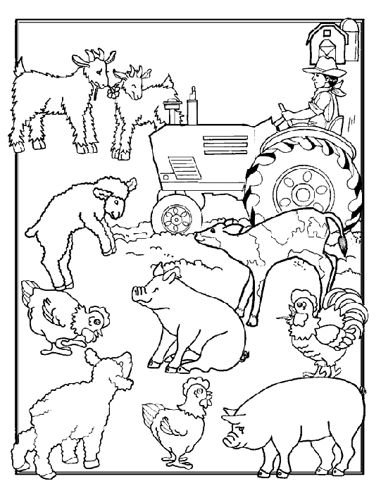 Animals on Farm Coloring Page
