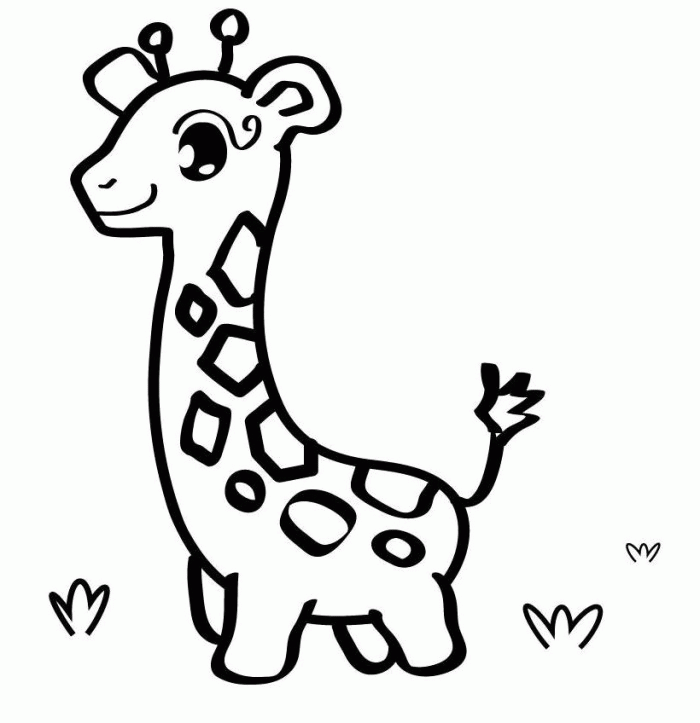 Baby Giraffe - Animal Coloring Pages
