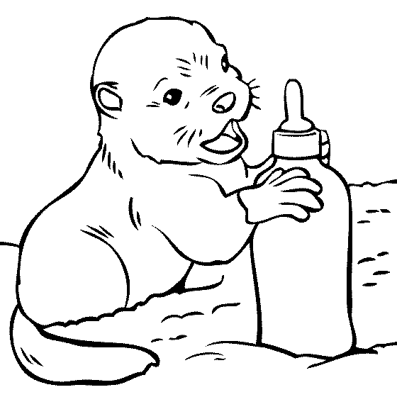 Baby Otter - Animal Coloring Pages