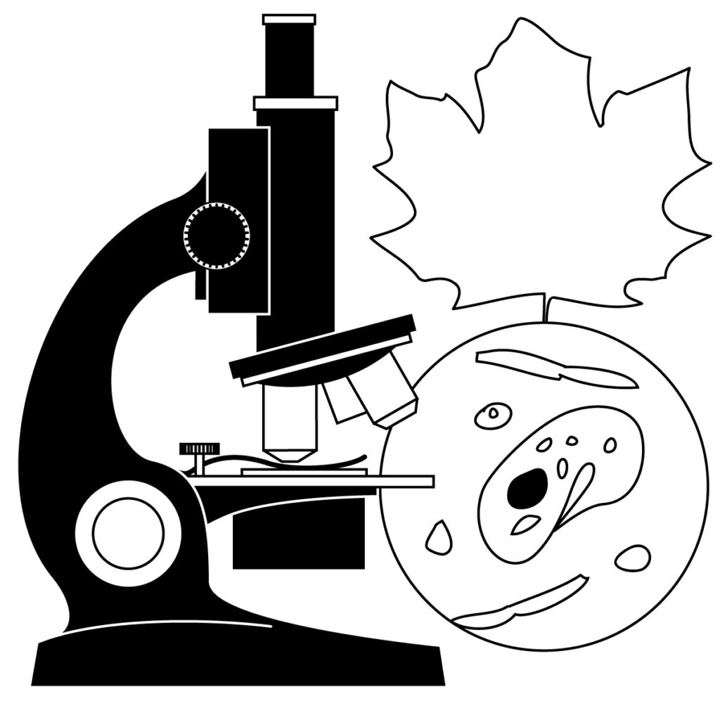 Biology Coloring Page