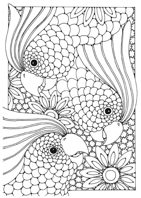 Birds - Complex Coloring Pages