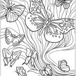 Butterfly Insects Coloring Page