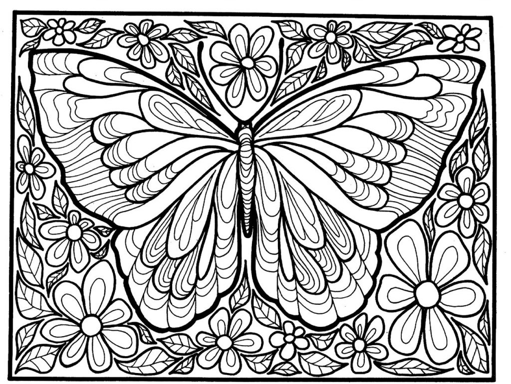 Butterfly Insect Coloring Pages