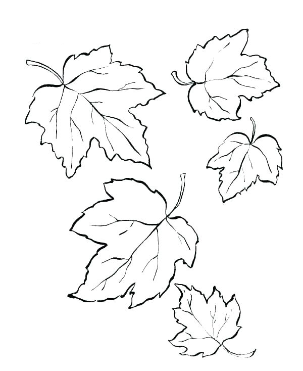 Fall Leaves Coloring Pages - Best Coloring Pages For Kids