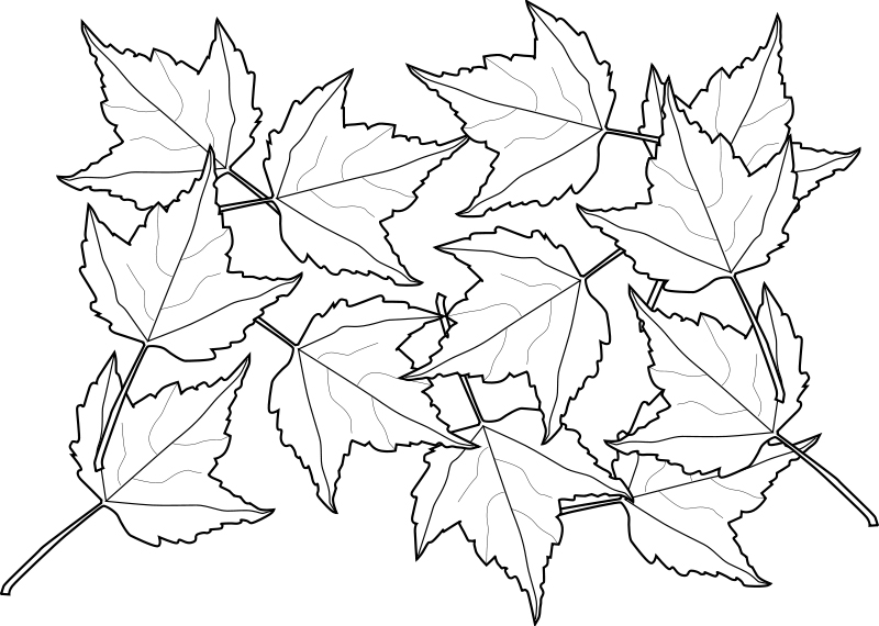 Colorful Fall Leaves Coloring Page