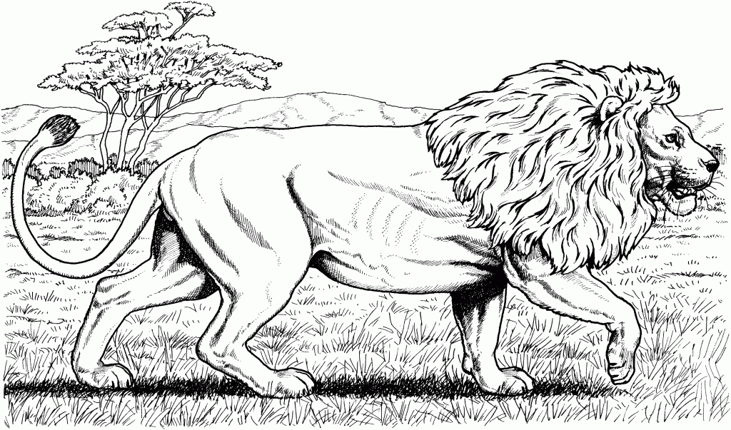 Complex Coloring Pages of Animals