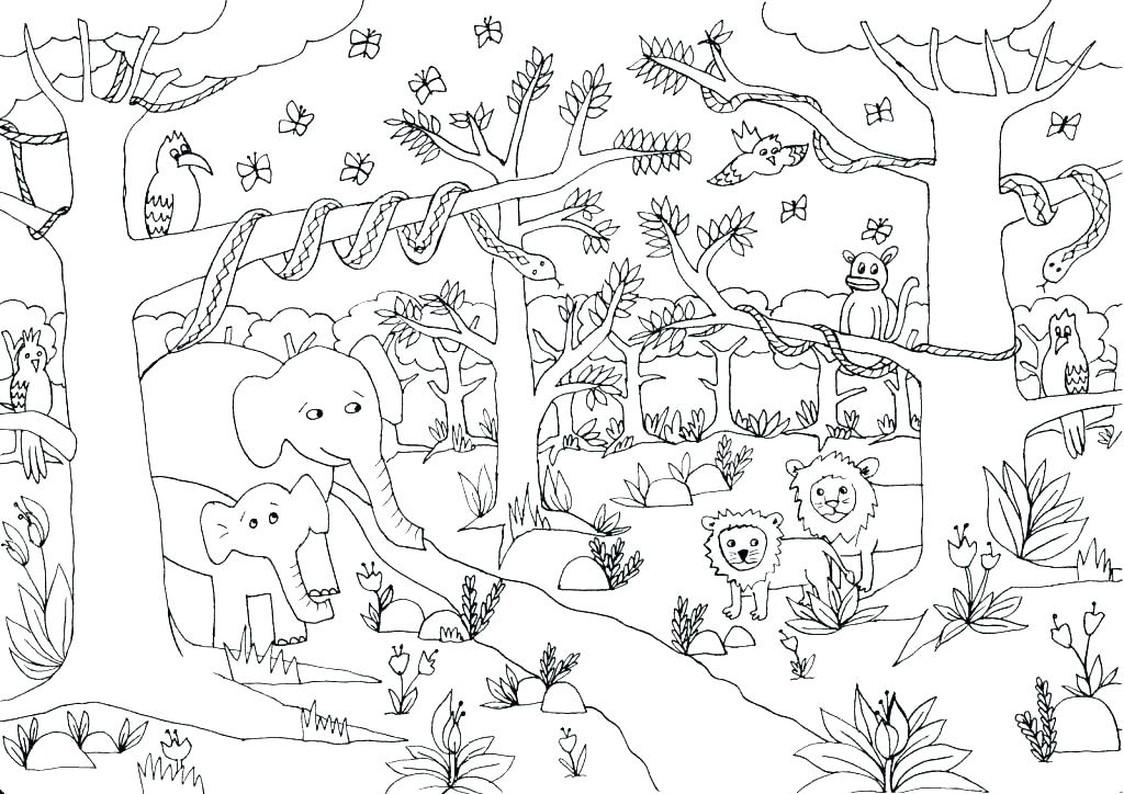 ccbcevents jungle scene coloring pages