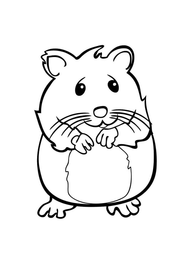 Cute Pet Coloring Page - Hamster