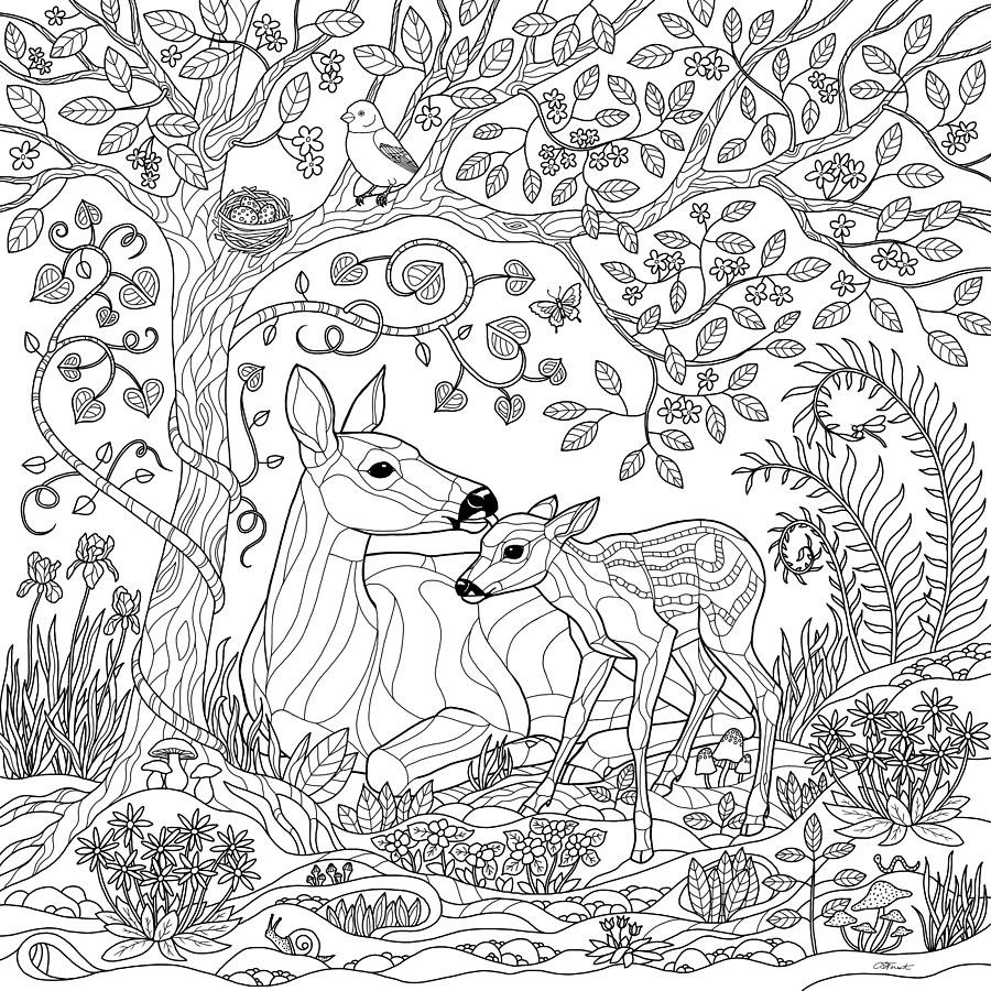 Deer - Fall Coloring Pages for Adults