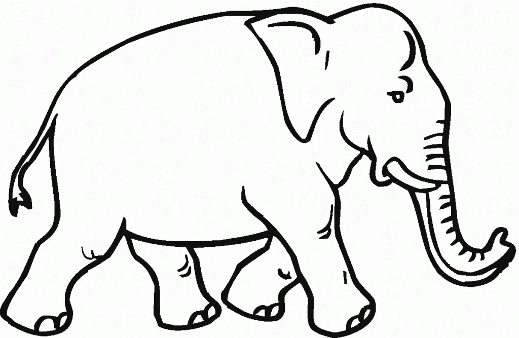 Elephant Coloring Page