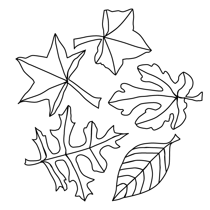 Fall Leaves Coloring Pages Printable Coloring leaves fall pages leaf preschool sheets autumn printable tree children cute different young print books malvorlagen sheet printables designs