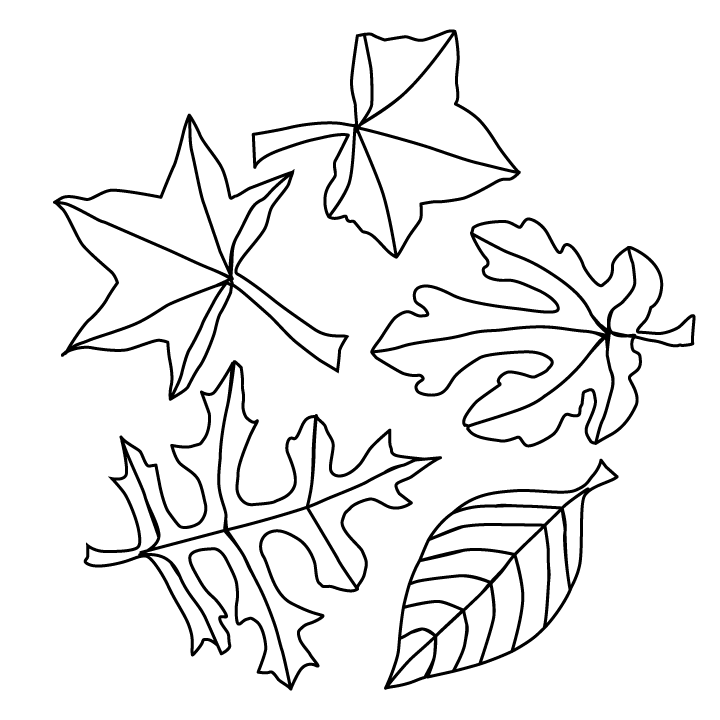 Fall Leaves Coloring Pages Printable Printable World Holiday