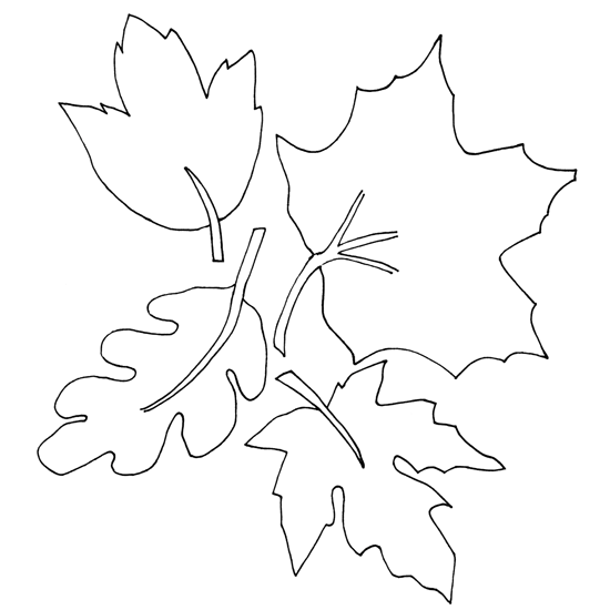 Fall Leaves Coloring Pages - Best Coloring Pages For Kids