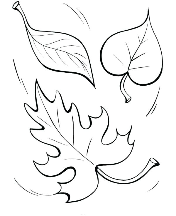 fall-leaves-coloring-pages-best-coloring-pages-for-kids