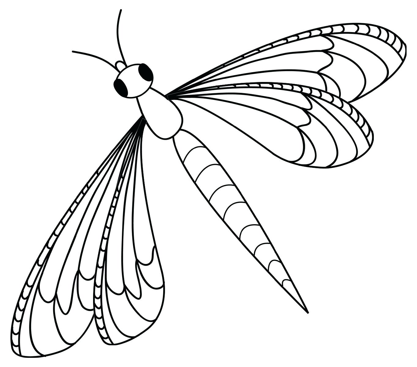 parts of an insect coloring page