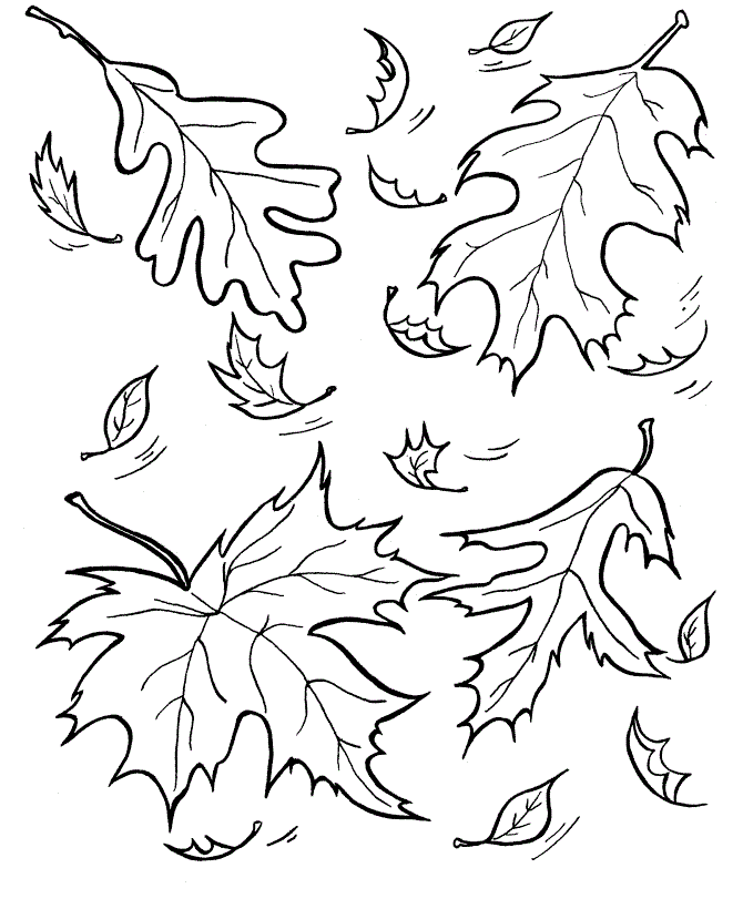 Fall Leaves Coloring Pages - Best Coloring Pages For Kids