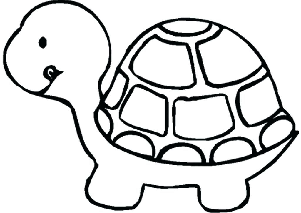 Free Pet Turtle Coloring Page