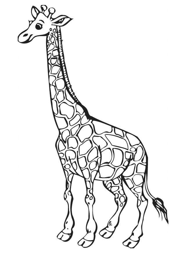 Giraffe Coloring Page