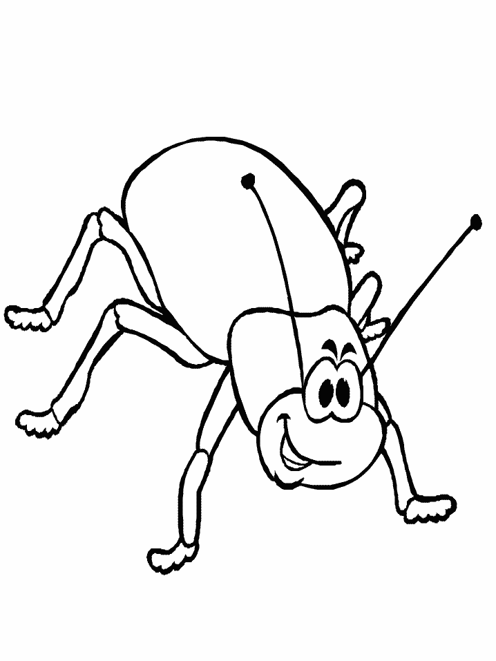 parts of an insect coloring page