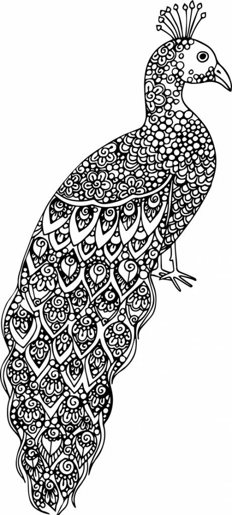 Hard Coloring Pages of Animals for Adults