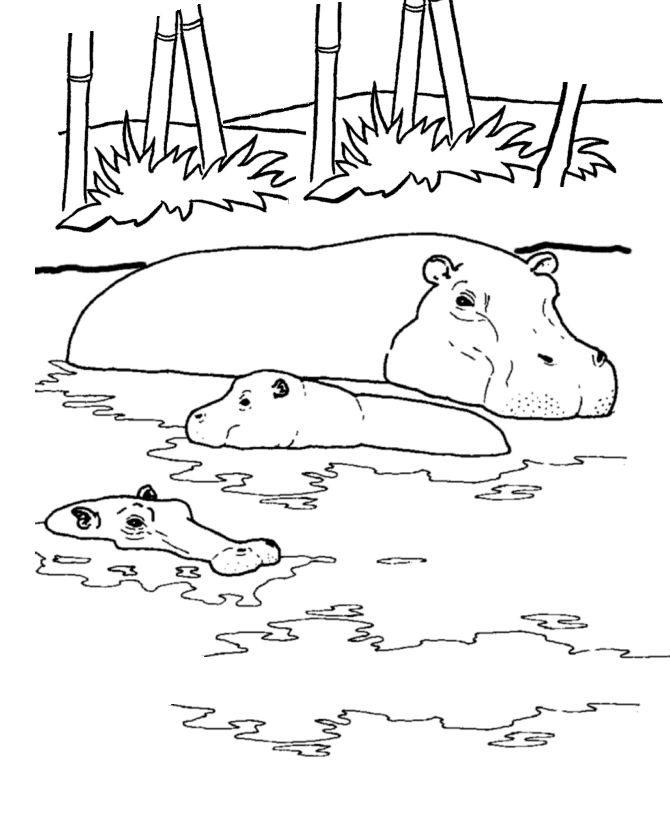 Hippo Family Coloring Page