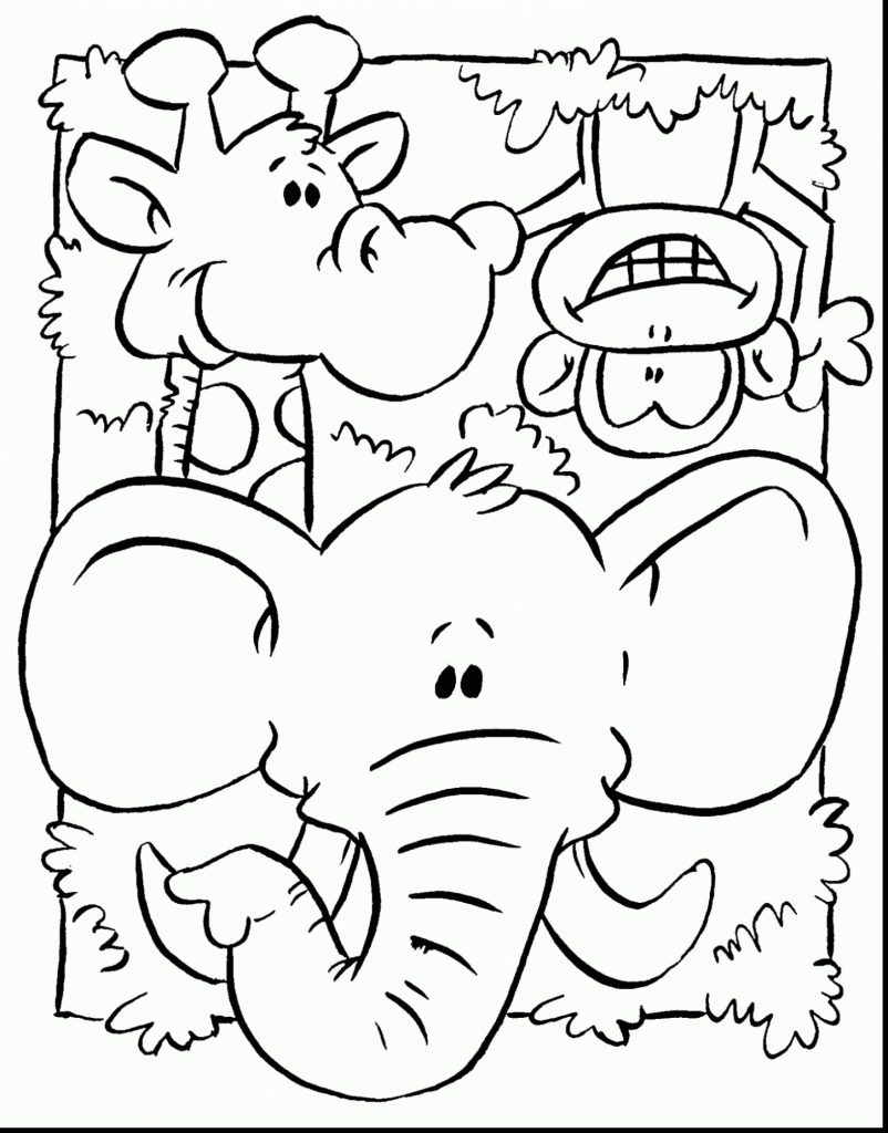 Jungle Animal Coloring Pages