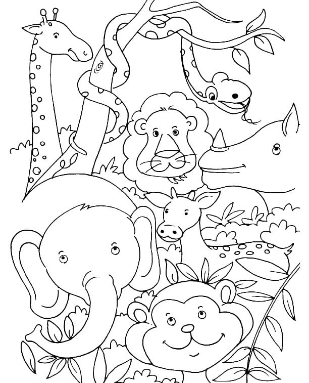 Jungle Coloring Pages - Best Coloring Pages For Kids