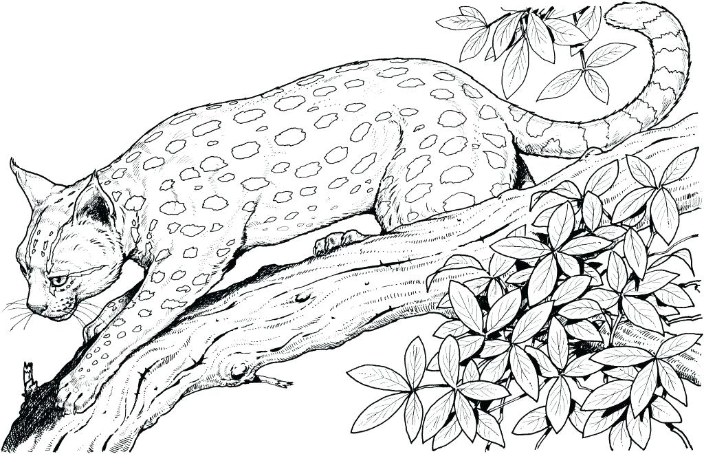 jungle animals coloring page