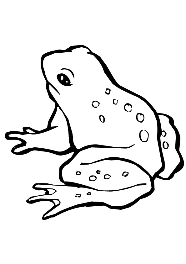 Jungle Frog Coloring Page