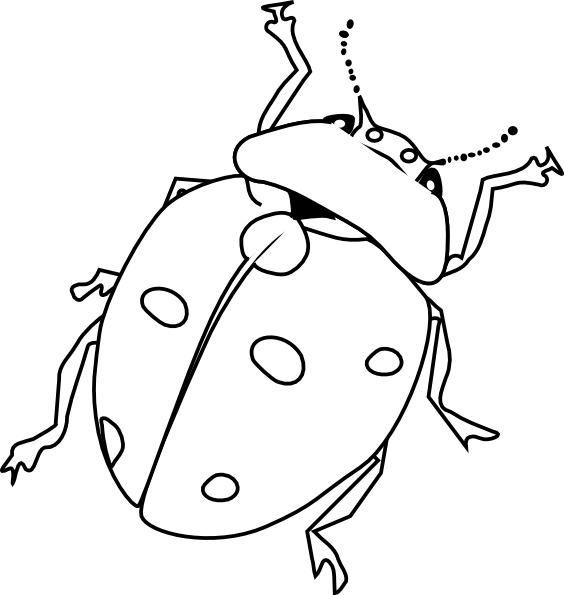 Ladybug Insect Coloring Page