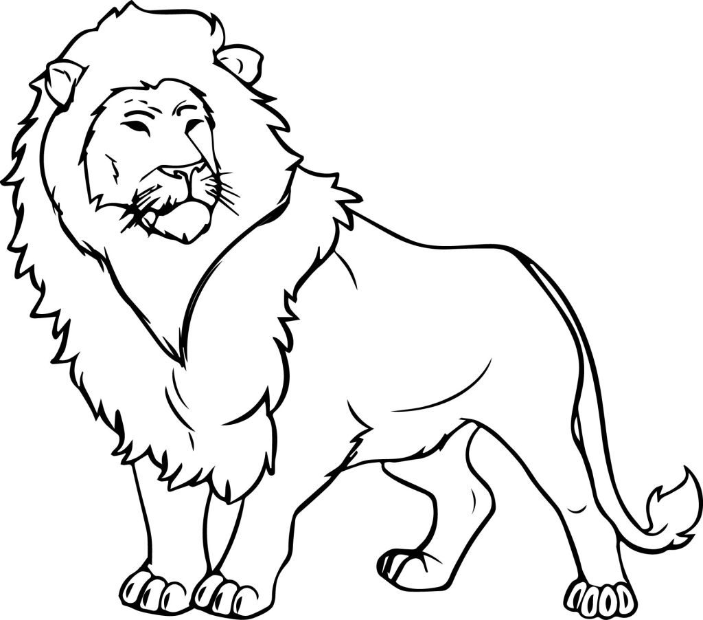 Lion Coloring Book 9